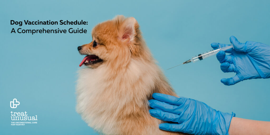 Dog Vaccination Schedule: A Comprehensive Guide